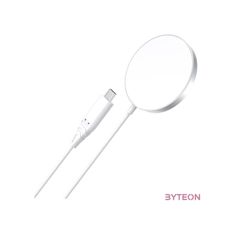 Wall Charger Choetech, 33W, PD5006 AC dual port (white)