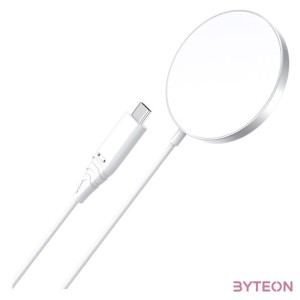 Wall Charger Choetech, 33W, PD5006 AC dual port (white)