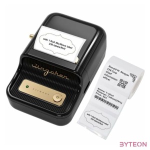 Portable Label Printer Niimbot B21 (Black)