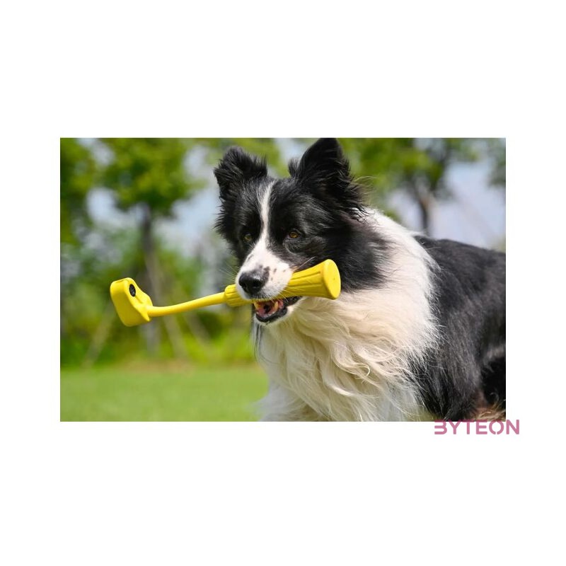 Fetch Stick Insta360 GO 3