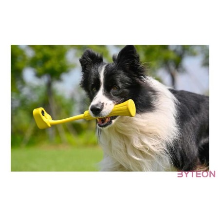 Fetch Stick Insta360 GO 3