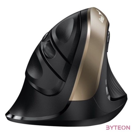 Genius Ergo 8250s rádiós egér Champaigne