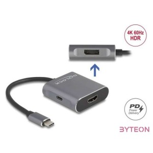 Delock 87867 USB C,HDMI,DP adapter