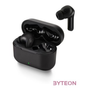 Panasonic RZ-B310WDE-K True Wireless Bluetooth fekete fülhallgató