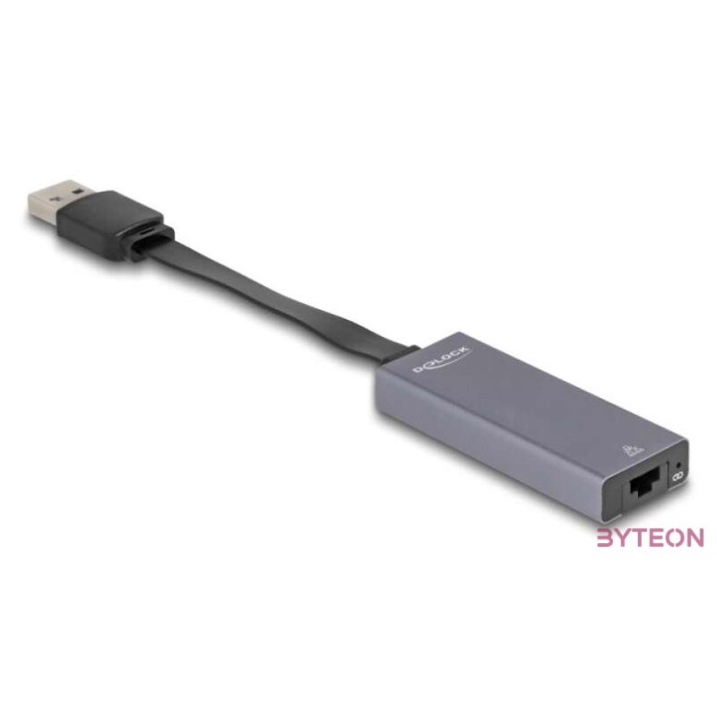 Delock 66247 USB A - 2,5 Gigabit LAN adapter