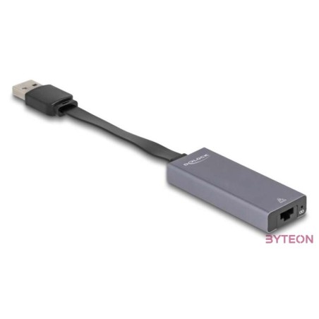 Delock 66247 USB A - 2,5 Gigabit LAN adapter