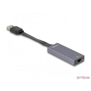Delock 66247 USB A - 2,5 Gigabit LAN adapter