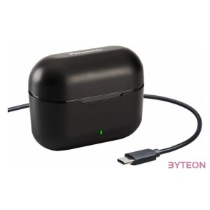 Panasonic RZ-B310WDE-K True Wireless Bluetooth fekete fülhallgató