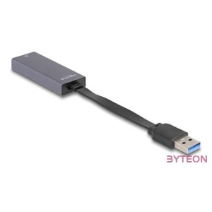 Delock 66247 USB A - 2,5 Gigabit LAN adapter