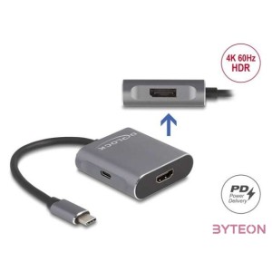 Delock 87867 USB C,HDMI,DP adapter