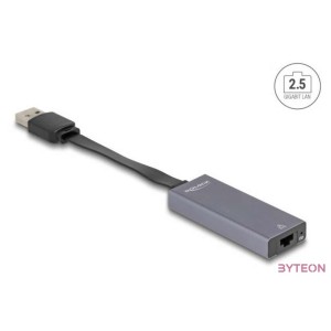 Delock 66247 USB A - 2,5 Gigabit LAN adapter