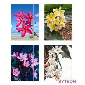 Herlitz Flower A4 gumis mappa