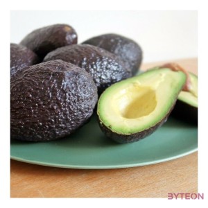 Bioplasztik 4 db-os lapos tányér szett, sötétzöld, 25,5 cm