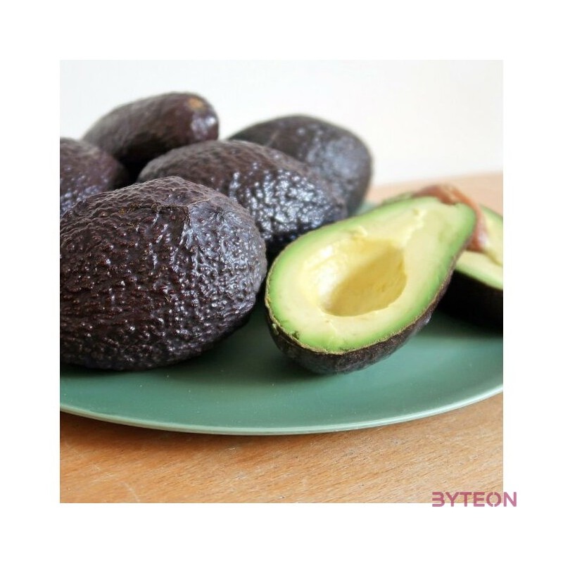 Bioplasztik 4 db-os lapos tányér szett, sötétzöld, 25,5 cm