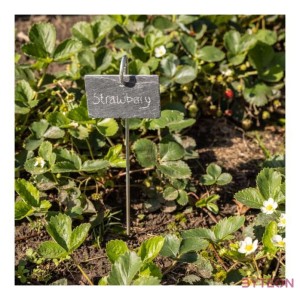 Leszúrható növény jelölő palatábla, 36 cm