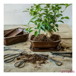 Fekete acél bonsai olló, 11 cm