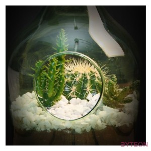 Zúzott kavics floráriumhoz, fehér, 5 kg