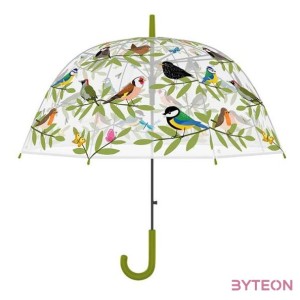 Átlátszó kismadaras esernyő