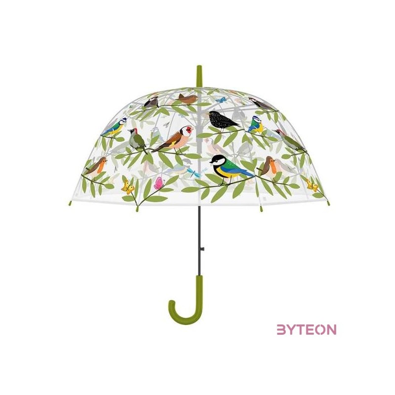 Átlátszó kismadaras esernyő