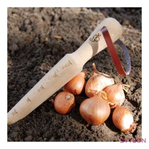 Ültető fából, 26 cm