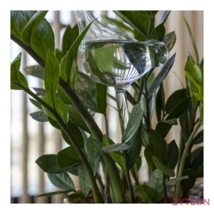 Virágföldbe szúrható üveg vízadagoló, madár alakú, 36 cm