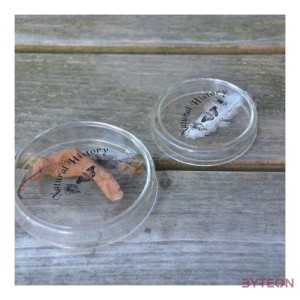 Petri csésze, 120 ml