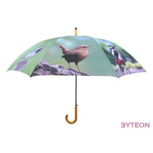 Kismadaras esernyő, 120 cm átmérőjű