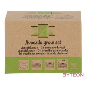 Avokádó csíráztató tál újrahasznosított üvegből