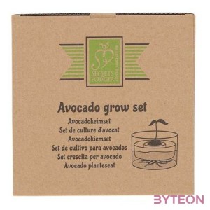 Avokádó csíráztató tál újrahasznosított üvegből