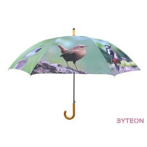 Kismadaras esernyő, 120 cm átmérőjű