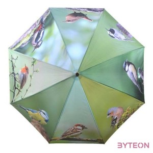 Kismadaras esernyő, 120 cm átmérőjű