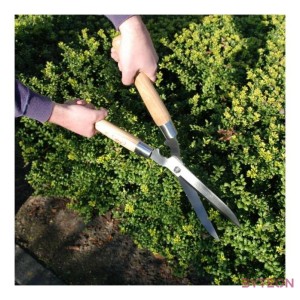 Rozsdamentes acél sövényvágó olló, kőrisfa nyéllel, 50 cm
