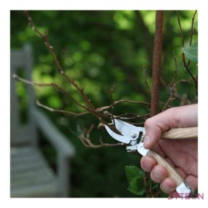 Rozsdamentes acél többfunkciós kerti szerszám, kőrisfa nyéllel, 15 cm