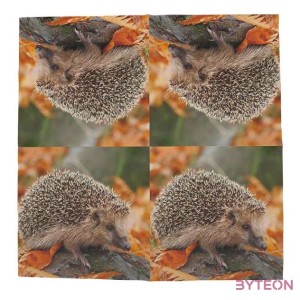 Sündisznós szalvéta