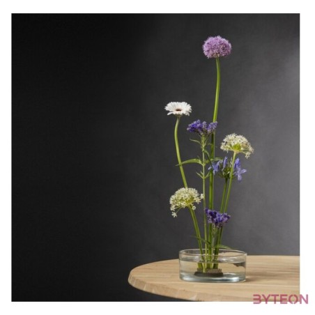 Dekorációs üvegtál, Ikebana japán virágrendező tál, L