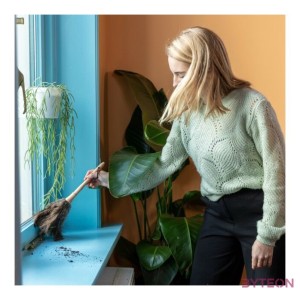 Strucc toll portalanító