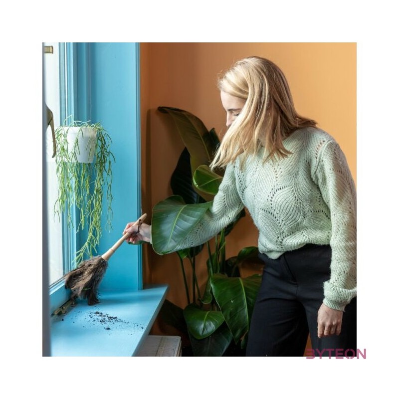 Strucc toll portalanító