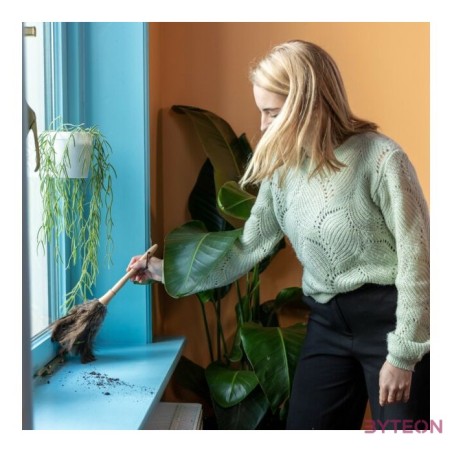 Strucc toll portalanító