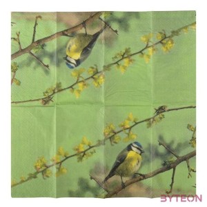 Állatmintás zsebkendő, cinegés