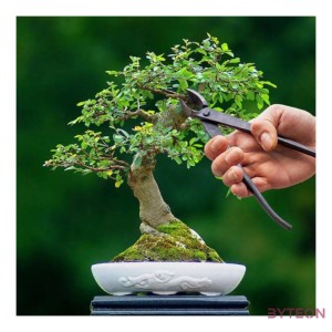 Bonsai ág vágó, fogó