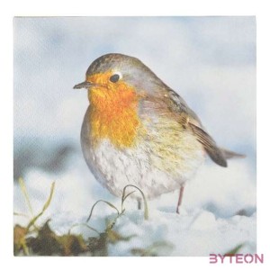 Madaras és mókusos szalvéta