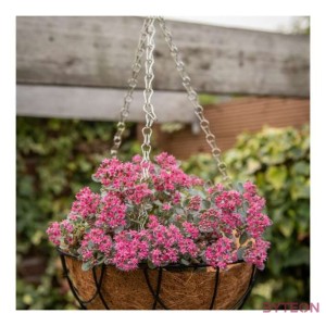 Kókuszrost betét virágtartókhoz, 25 cm átmérőjű