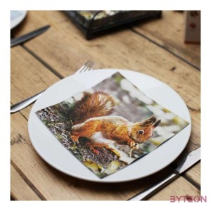 Madaras és mókusos szalvéta