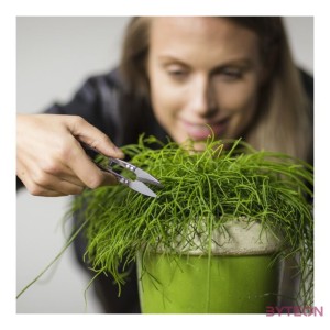 Rozsdamentes acél növény nyeső olló, 11 cm