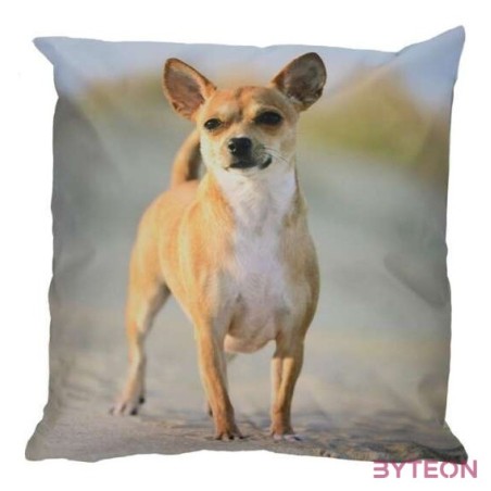 UV álló, vízlepergető kutyás kültéri párna, csivava