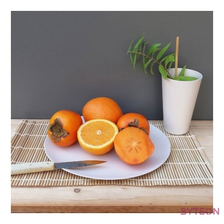 Bioplasztik 4 db-os lapos tányér szett, fehér, 25,5 cm