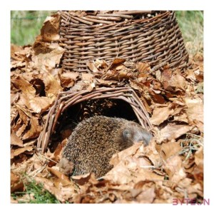 Sündisznó ház fonott kosárból, 53 x 25 cm