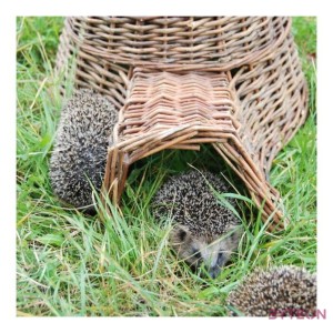 Sündisznó ház fonott kosárból, 53 x 25 cm