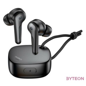 TWS Choetech BH-T17 ANCENC Wireless Headphones (black)