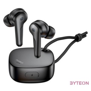 TWS Choetech BH-T17 ANCENC Wireless Headphones (black)